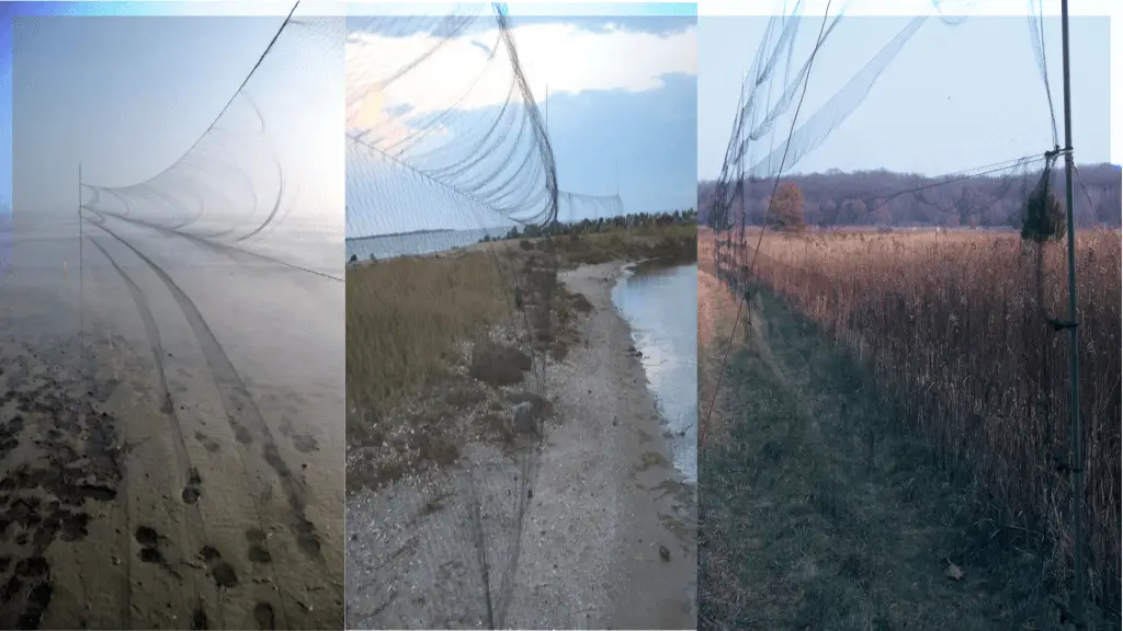 Redes de niebla para aves y murciélagos