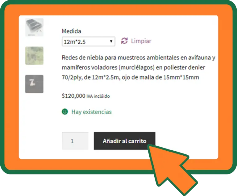 Guía de compra Mandala Verde