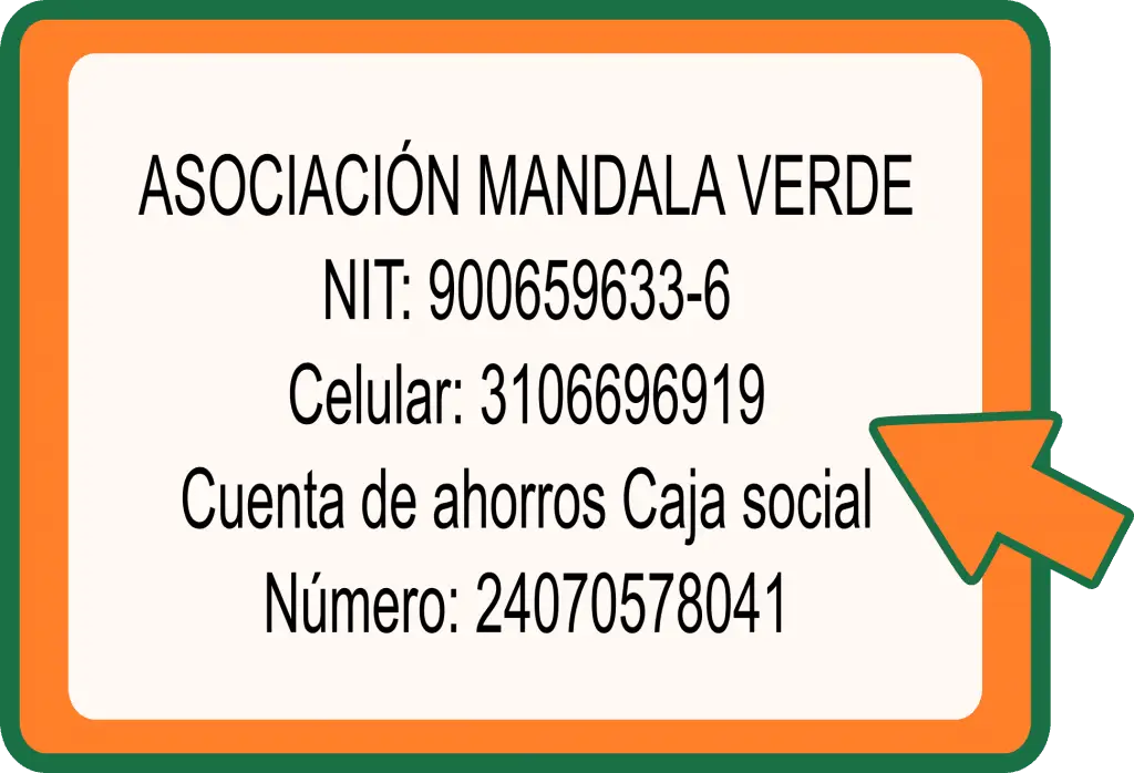 Guía de compra Mandala Verde