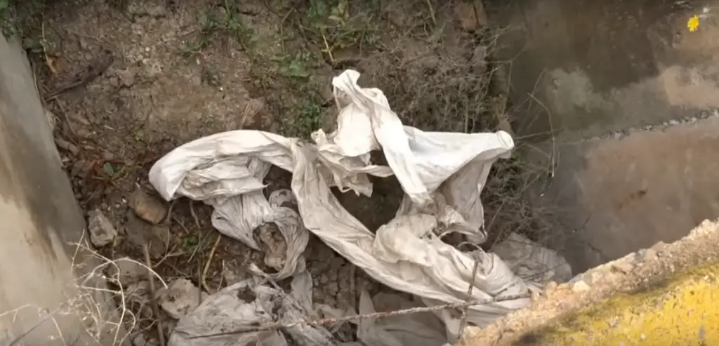 Herpetologia buscando serpientes debajo de escombros