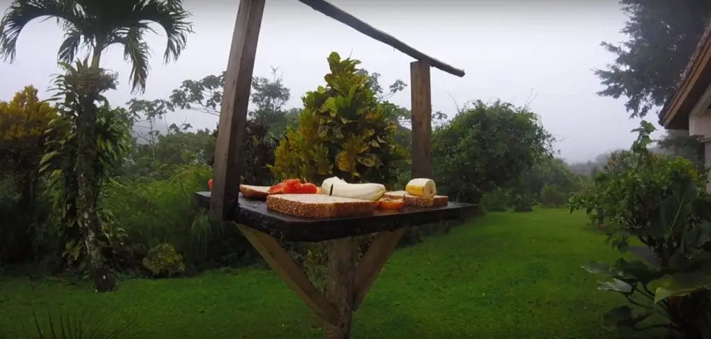 Alimentador para aves con fruta