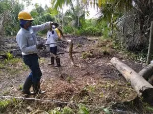 Rescate y ahuyentamiento