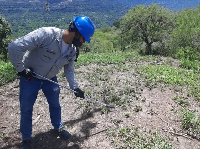 Pinzas herpetológicas en el manejo de serpientes venenosas
