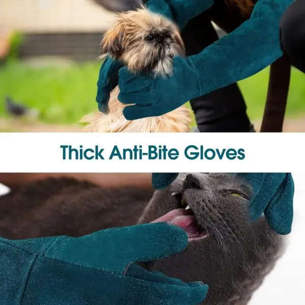 Guantes para manejo de fauna