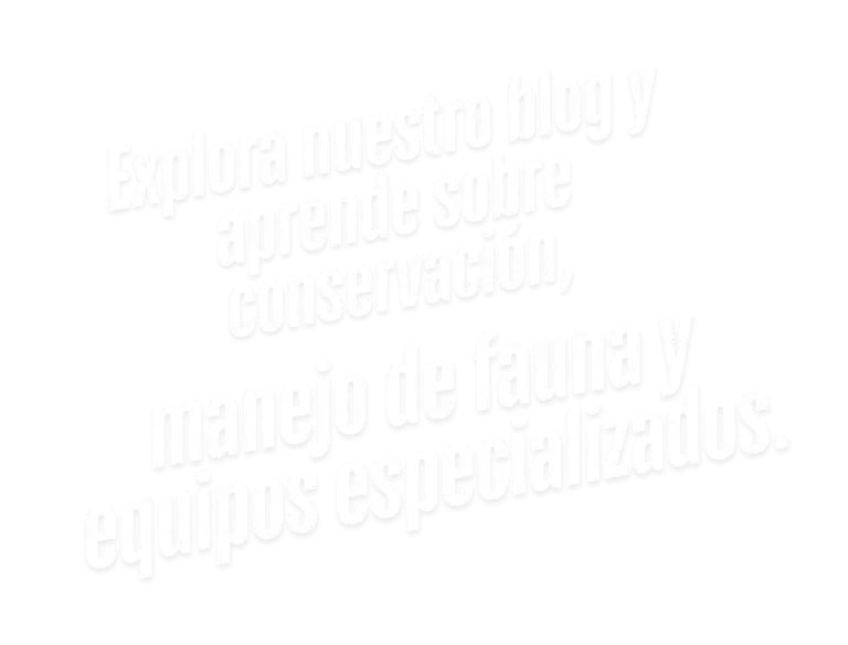Explora nuestro Blog y aprende sobre conservaci&oacute;n, manejo de fauna y equipos especializados.