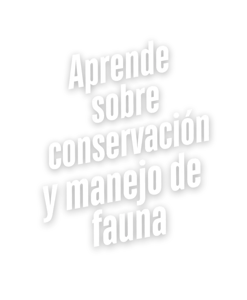 Aprende sobre conservación y manejo de fauna